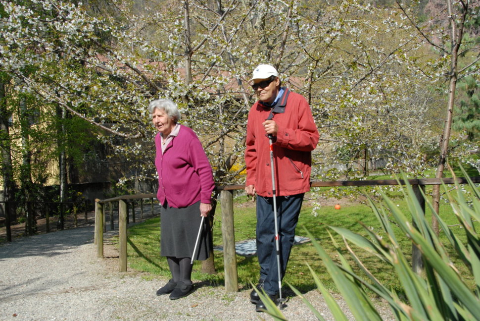 Spaziergang im Park