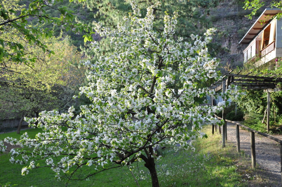 Der Park mit Handläufen